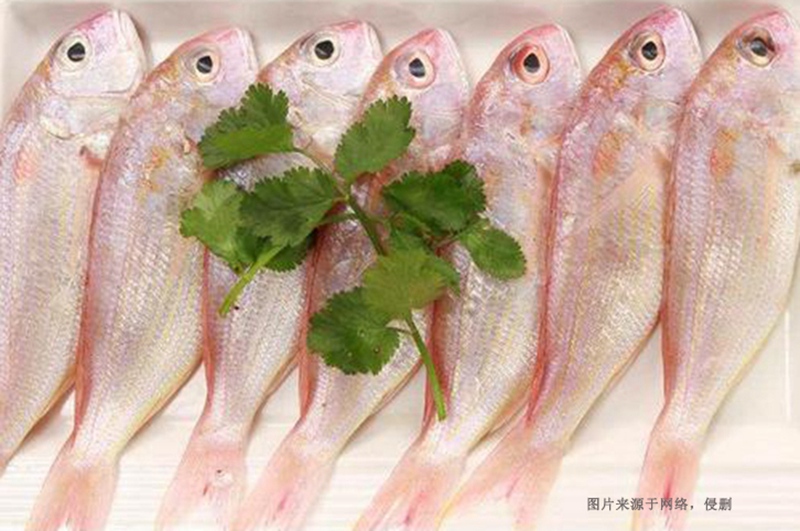 越南冷凍魚進口清關(guān)資料到深圳代理胡志明海運案例