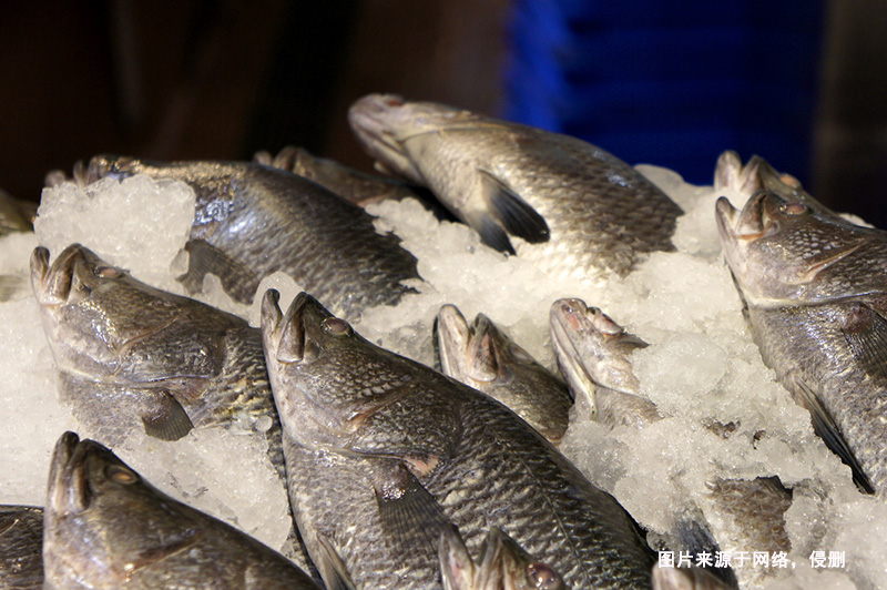 廣州鱸魚進(jìn)口報(bào)關(guān)流程