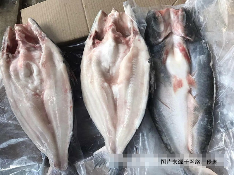 越南冷凍巴沙魚進(jìn)口報(bào)關(guān)資料